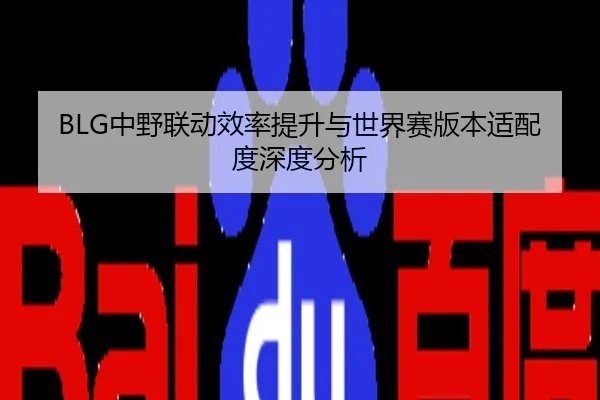 BLG中野联动效率提升与世界赛版本适配度深度分析