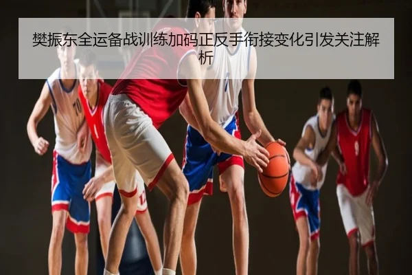 樊振东全运备战训练加码正反手衔接变化引发关注解析