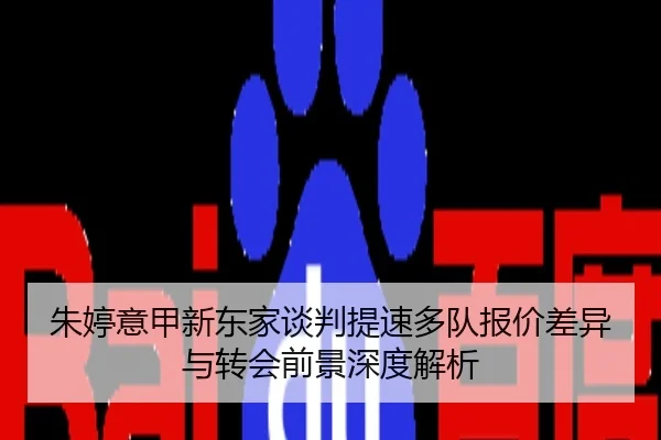 朱婷意甲新东家谈判提速多队报价差异与转会前景深度解析