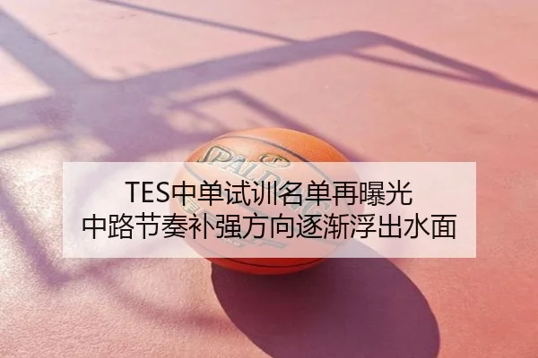 TES中单试训名单再曝光 中路节奏补强方向逐渐浮出水面